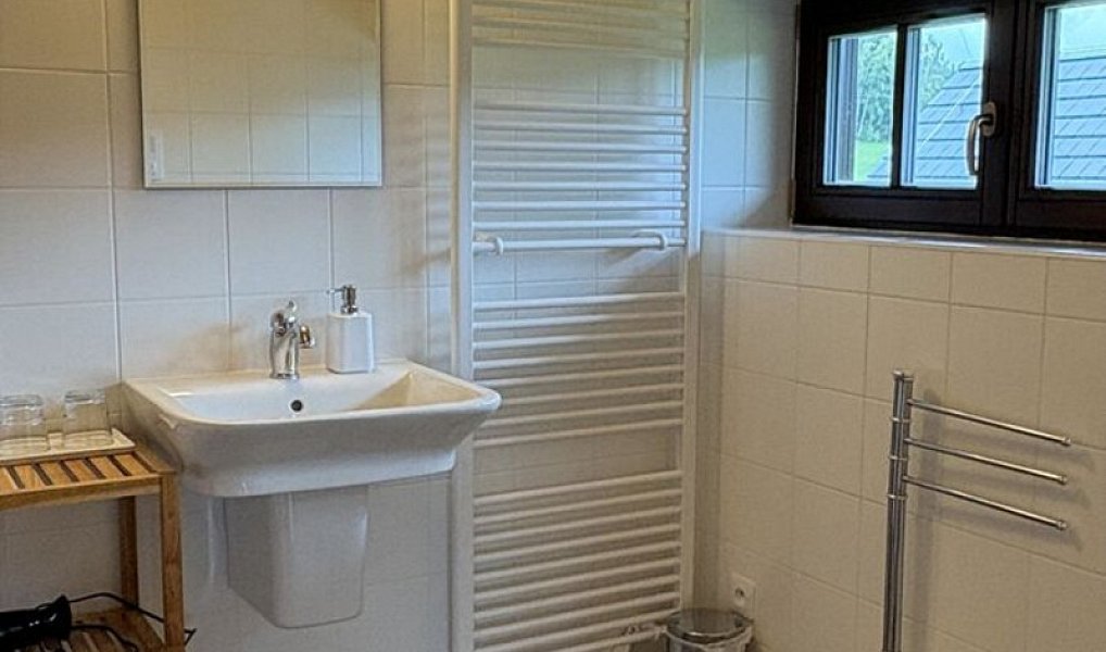 Prodej domu 187 m² s pozemkem 2 125 m², Srní – náhled fotky 19