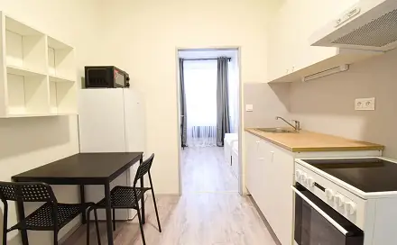 Pronájem bytu 1+1 24 m², Václavská, Brno - Staré Brno