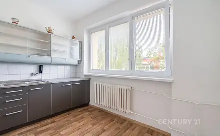 Pronájem bytu 1+1 38 m², B. Němcové, Třinec - Lyžbice, okres Frýdek-Místek