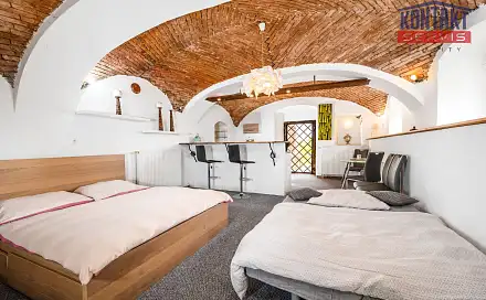 Pronájem bytu 1+kk 47 m²