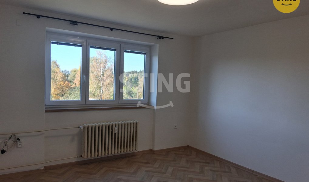 Pronájem bytu 3+kk 55 m², Dolní Rožínka – náhled fotky 2