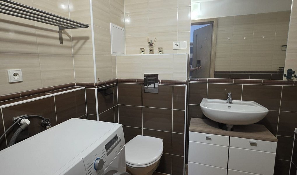 Pronájem bytu 2+kk 41 m², Plzeň – náhled fotky 8