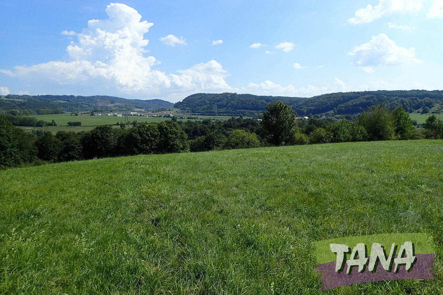 Prodej louky 49 051 m² – pohled 6