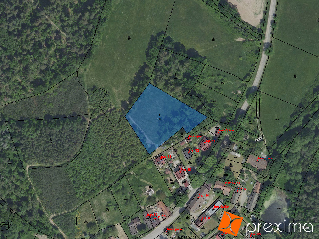 Prodej lesa 3 441 m²