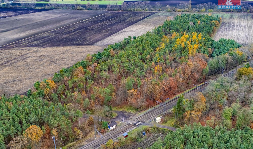 Prodej lesa 6 436 m², Lysá nad Labem – náhled fotky 2