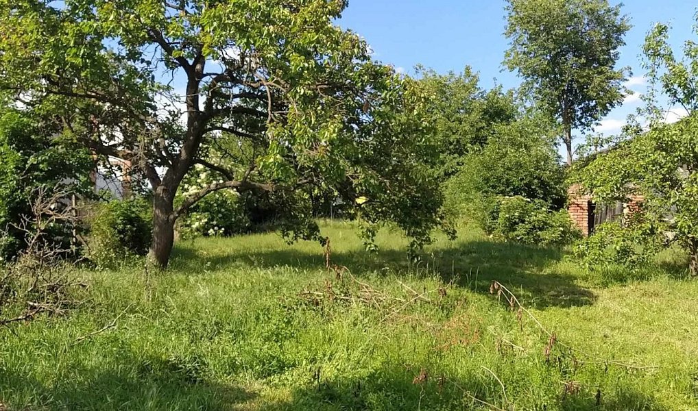 Prodej stavebního pozemku 659 m², Šanov – náhled fotky 4
