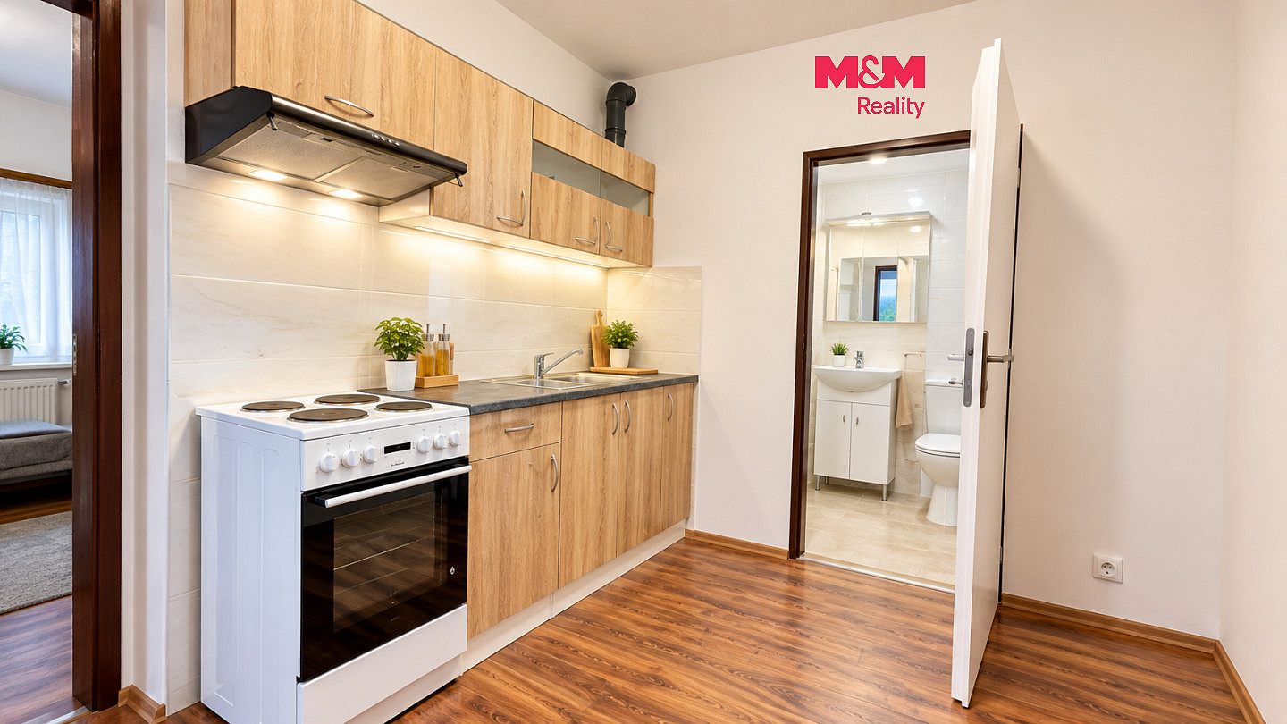 Pronájem bytu 1+kk 50 m²