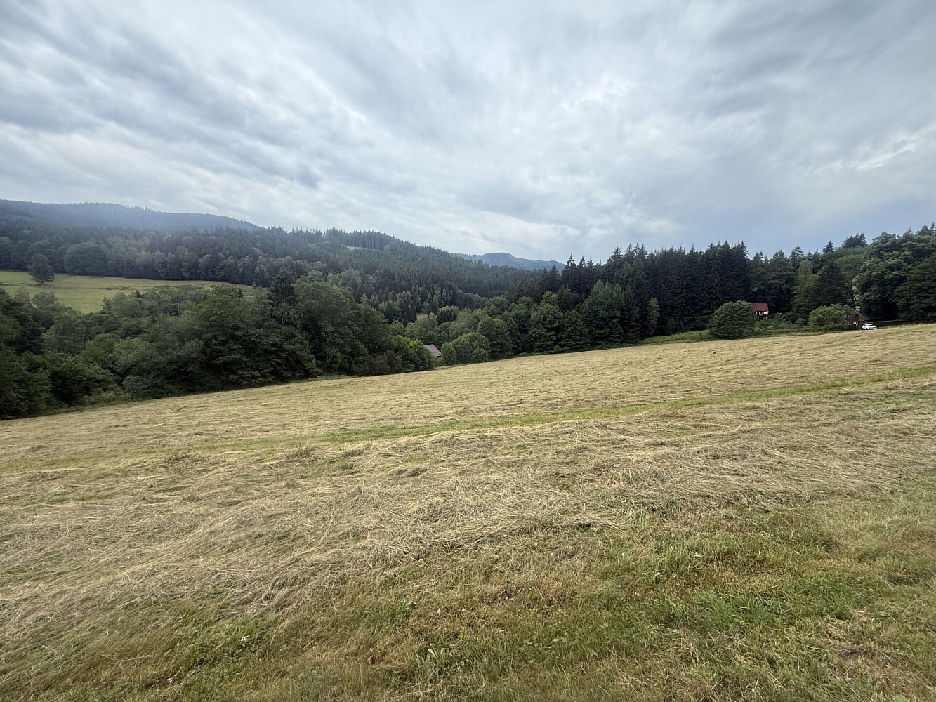 Prodej louky 84 928 m² – fotografie 5