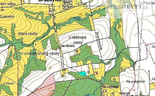 Prodej lesa 6 273 m², Bruzovice, okres Frýdek-Místek