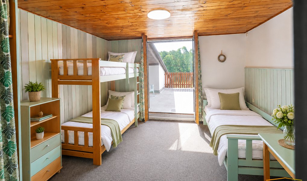 Prodej domu 1 000 m² s pozemkem 22 792 m², Radvanec – náhled fotky 19