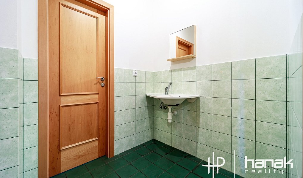 Prodej domu 259 m² s pozemkem 2 016 m², Strančice – náhled fotky 17