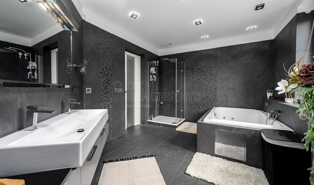 Prodej domu 546 m² s pozemkem 1 608 m², Zvole – náhled fotky 19