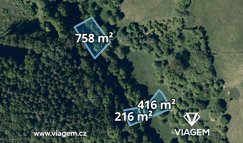 Prodej lesa 2 135 m², Lhota – náhled fotky 5