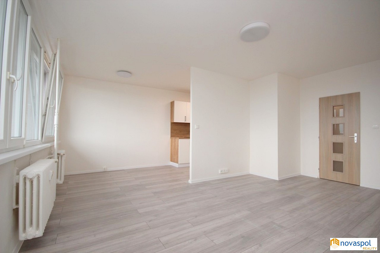 Pronájem bytu 1+kk 47 m² — photo 2