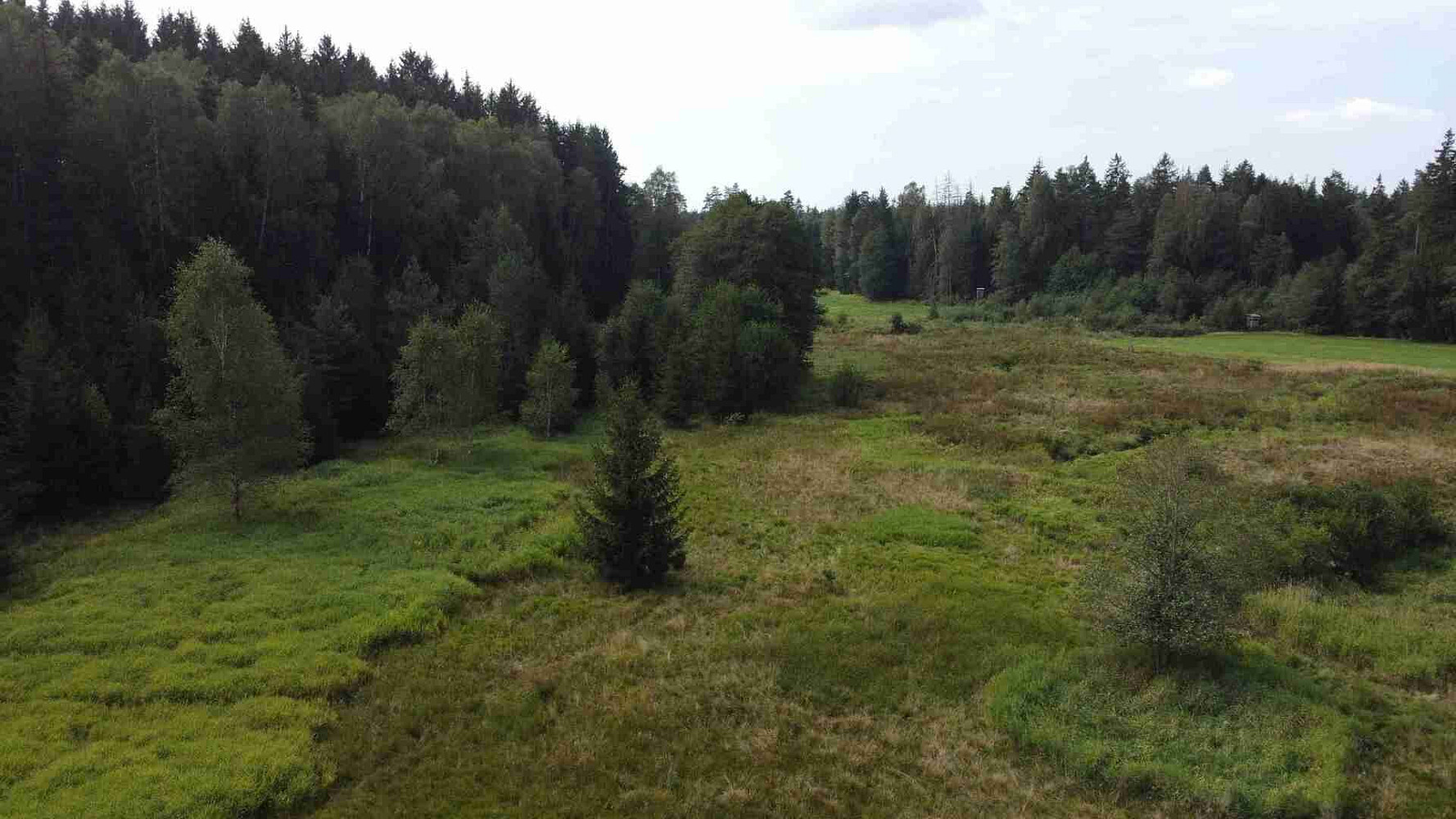 Fotka 6 z 10