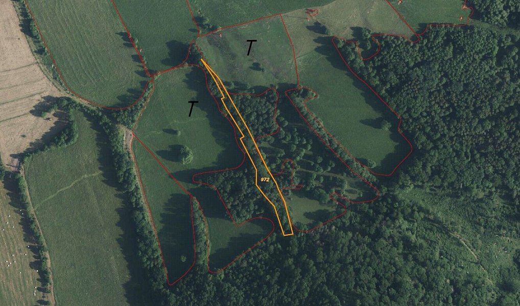 Prodej pole 5 161 m², Česká Kamenice – náhled fotky 5