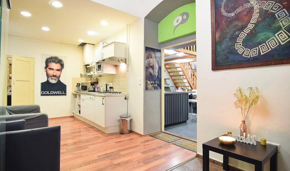 Prodej bytu 2+1 66 m², Brno – náhled fotky 8