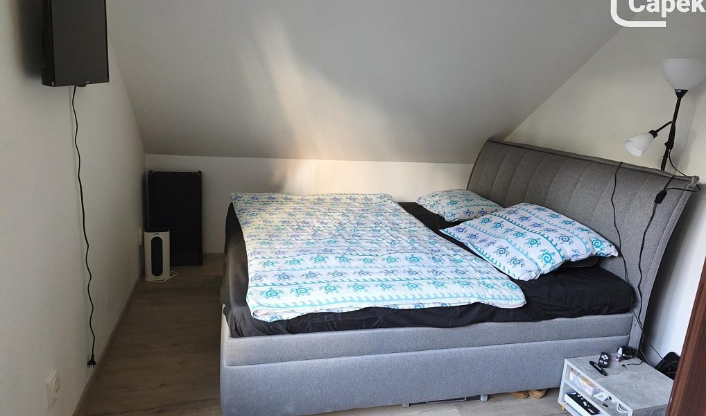 Prodej domu 282 m² s pozemkem 1 288 m², Životice u Nového Jičína – náhled fotky 19