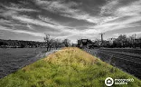 Ostatní