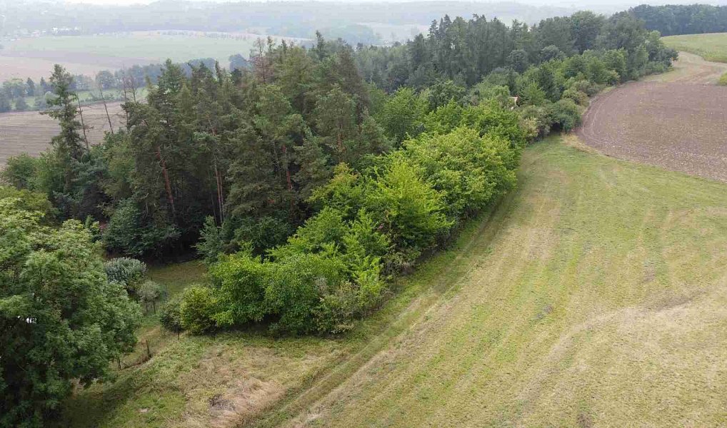 Prodej pozemku 864 m², Skuteč – náhled fotky 2