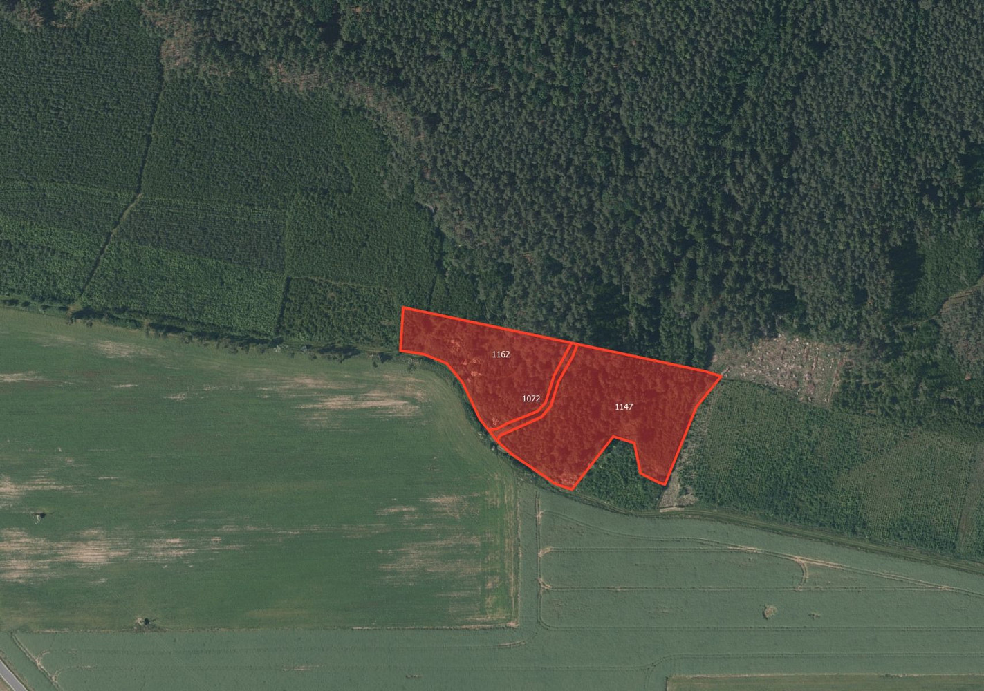 Prodej lesa 10 814 m²