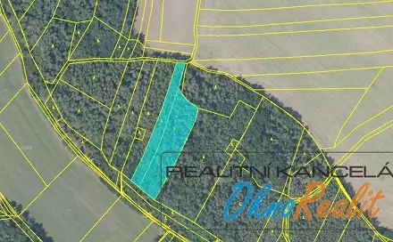 Prodej lesa 8 452 m², Tyršova, Týnec nad Labem, okres Kolín