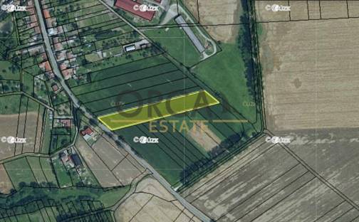 Prodej pole 3 183 m², Krumsín, okres Prostějov