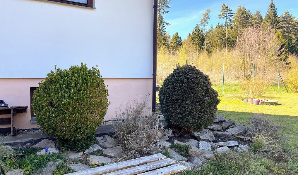 Prodej chaty/chalupy 60 m² s pozemkem 436 m², Sosnová – náhled fotky 13