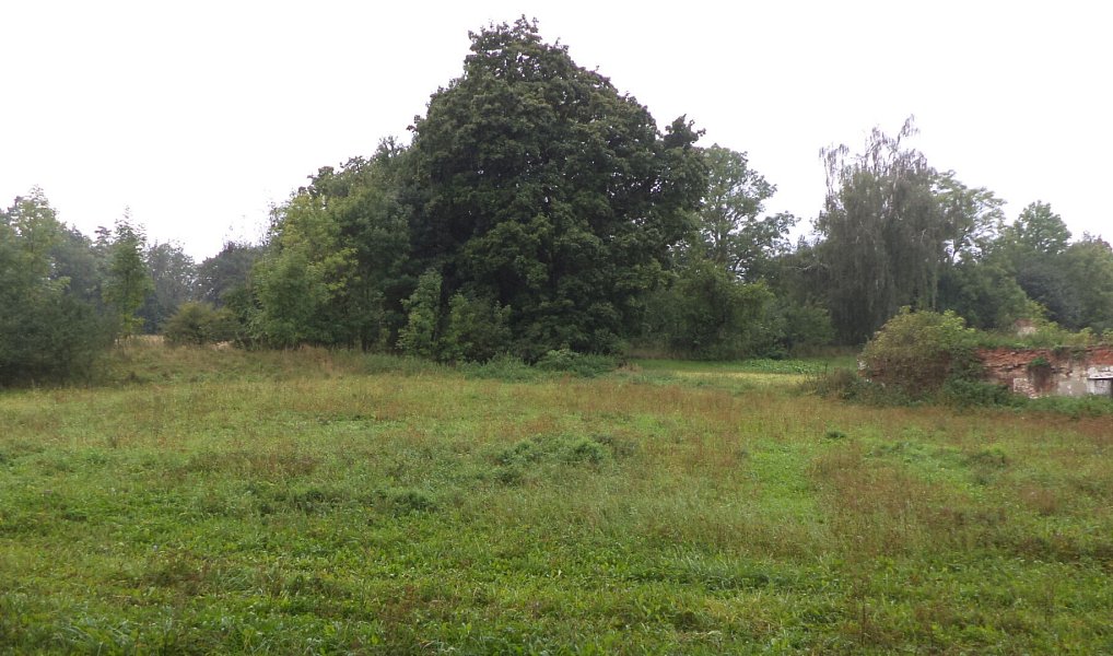 Prodej stavebního pozemku 1 334 m², Uherčice – náhled fotky 4