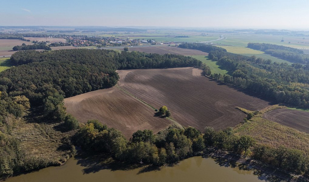 Prodej pole 99 492 m², Rokytno – náhled fotky 7