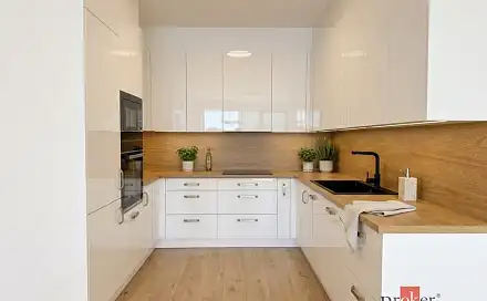 Pronájem bytu 2+kk 65 m², Železná, Plzeň - Jižní Předměstí