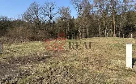 Prodej stavebního pozemku 1 100 m², Ludvíkovice, okres Děčín