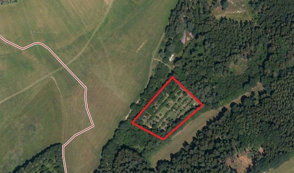 Prodej zahrady 6 582 m², Hrádek – náhled fotky 6