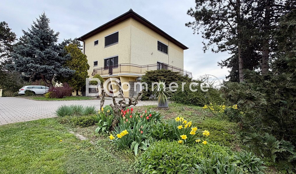 Prodej domu 270 m² s pozemkem 4 446 m², Dolní Kounice – náhled fotky 41