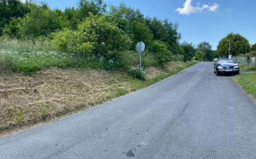 Prodej stavebního pozemku 4 256 m², Sázava, okres Benešov