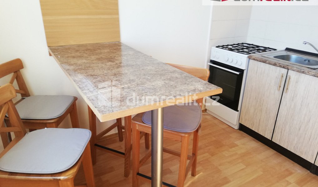 Pronájem bytu 1+1 39 m², Plzeň – náhled fotky 3
