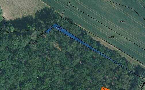 Prodej lesa 4 m², Troubsko, okres Brno-venkov