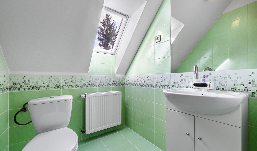 Prodej domu 162 m² s pozemkem 1 865 m², Stříbro – náhled fotky 18