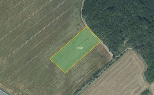 Prodej pole 7 289 m², Hrabyně, okres Opava