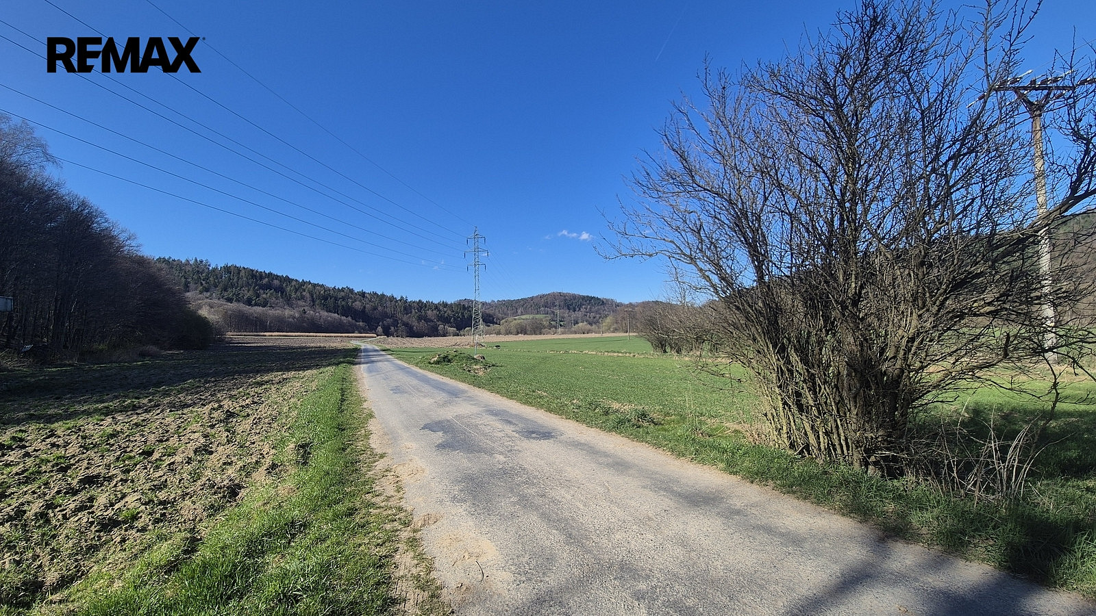 Prodej louky 4 612 m² — photo 3