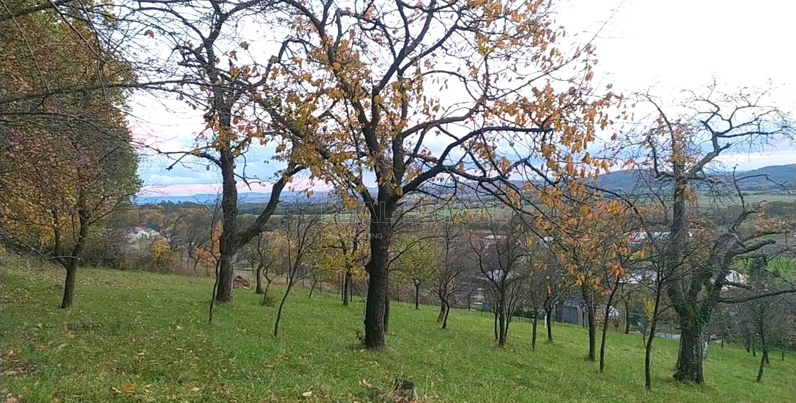 Prodej zahrady 3 492 m²