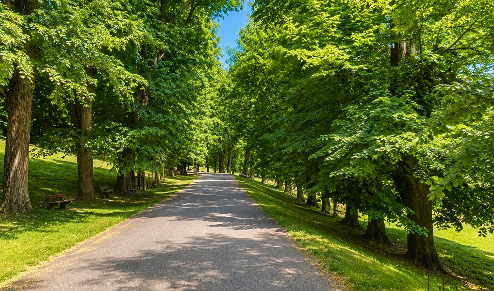 Prodej domu 200 m² s pozemkem 200 m², Hukvaldy – náhled fotky 21