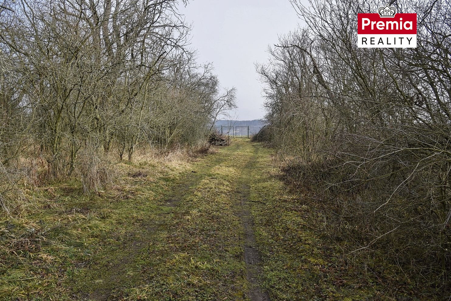 Prodej pole 9 871 m² – fotografie 5