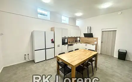 Pronájem bytu 5+kk 150 m², Špitálka, Brno - Trnitá