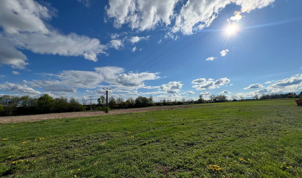 Prodej komerčního pozemku 5 600 m², Pletený Újezd – náhled fotky 4