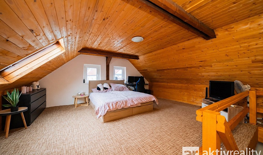 Prodej domu 250 m² s pozemkem 1 005 m², Dolní Zálezly – náhled fotky 10