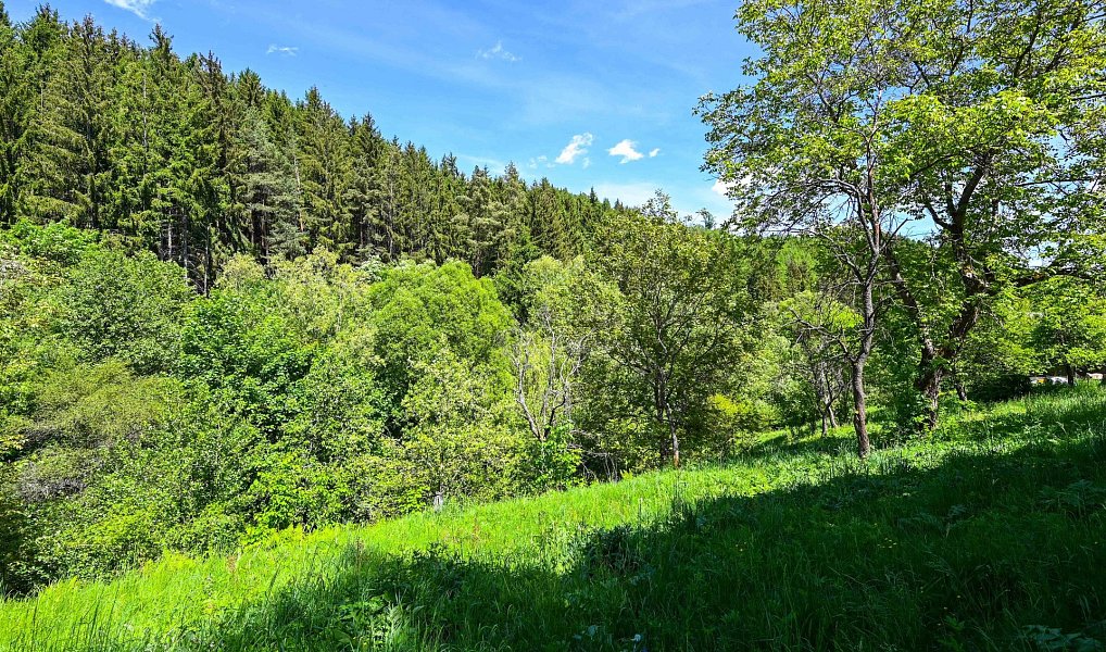 Prodej stavebního pozemku 2 295 m², Vsetín – náhled fotky 8