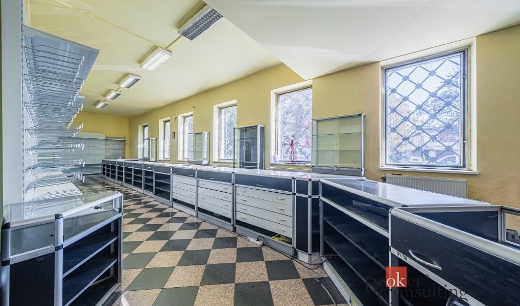 Prodej obchodních prostor 246 m², Plzeň – náhled fotky 8