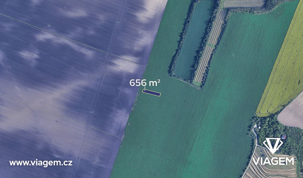 Prodej pole 656 m², Těšany – náhled fotky 2