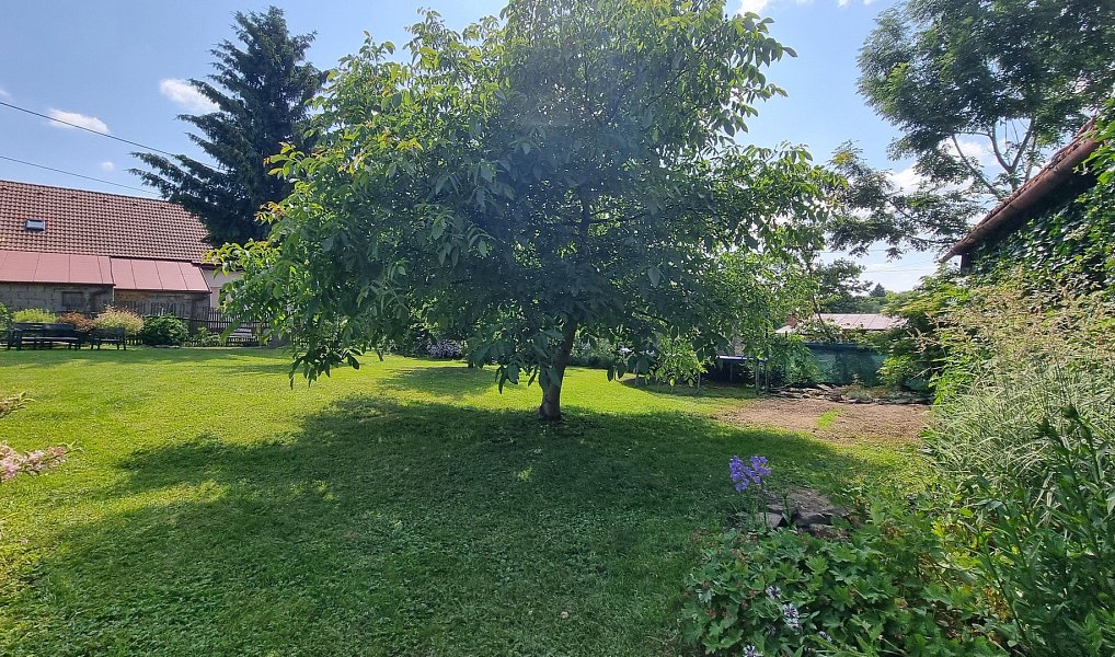 Prodej domu 200 m² s pozemkem 1 325 m², Žďárná – náhled fotky 27
